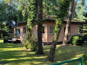 Letni domek na wydmie in Pobierowo